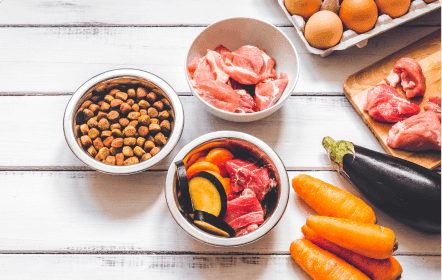 Jelajahi Keluarga Produk Paling Segar Kami